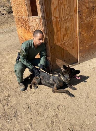 A young K-9 officer crouching next to his German Shepard during a training excercise.