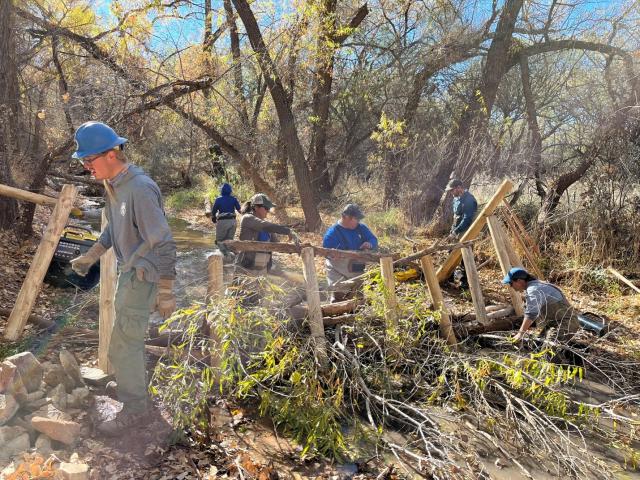 A crew of 6 constructs a Beaver Dam Analogue across a creek in a wooded area.