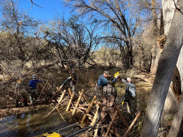 A crew of 6 construct a beaver dam analogue across a creek.