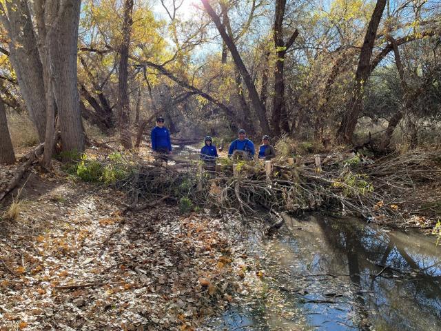 A crew of four stands behind a completed beaver dam analogue.