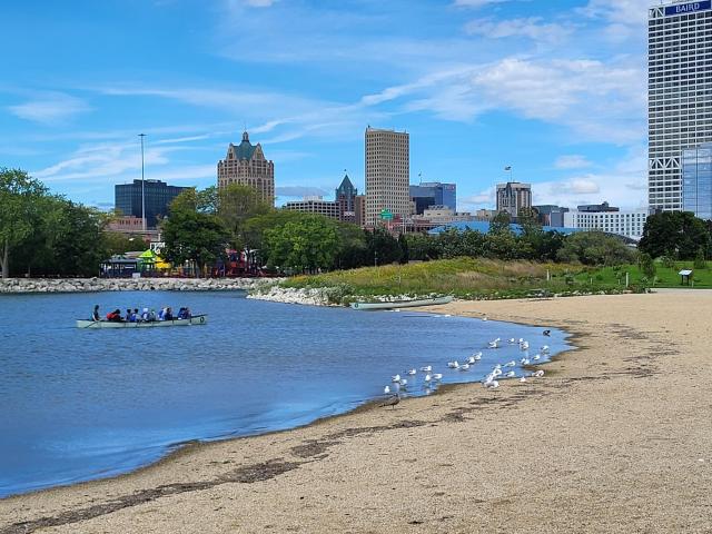 Milwaukee skyline viewed from a lakeside beach, with rowers on the water and gulls along the shore.