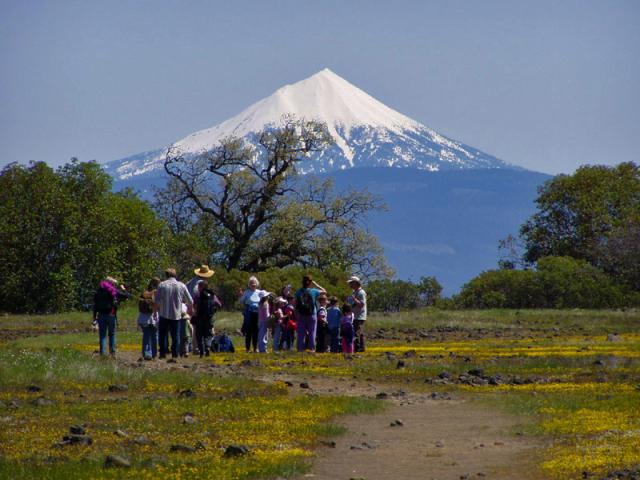 A group of adults and children gather in a grassy meadow filled with small yellow wildflowers, with a snow‑covered volcanic mountain rising prominently in the background. Scattered trees frame the scene under a clear blue sky.