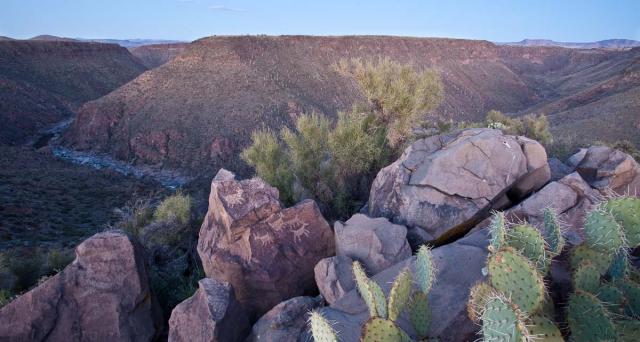 A desert canyon landscape with large boulders and prickly pear cactus in the foreground. Faint petroglyph markings appear on one of the rocks. Beyond the rocky outcrop, a green-vegetated canyon with a dry streambed winds through the hills under a clear sky at dusk.