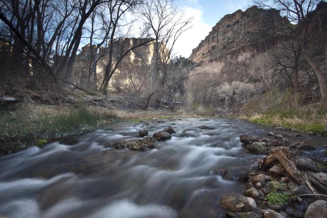 A gentle stream flowing through a rocky riverbed surrounded by leafless trees and towering cliffs under a cloudy sky.