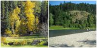MicaBay_Huckleberry_Collage