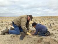 Two volunteers at National Public Lands day kneeling on the ground planting seeds.