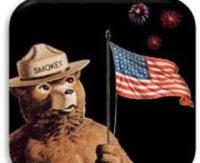 Smokey Bear stands holding an American flag and looks up at fireworks.