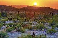 a desert landscape with saguaro cacti and distant mountains. The sun sets behind the mountains