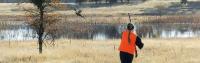 homeheroimage_ca_hunting_birds-2