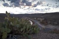 Canyon with stream running through it, mountains in the background, and a large cactus in the foreground.
