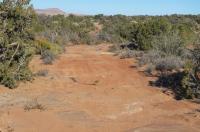 Photo of the Labyrinth Rims/Gemini Bridges travel management area showing routes going through public lands.  