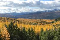 Image of mountains and fall colors 