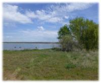 Wilson Lake campsite