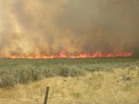 Fire on Public Lands