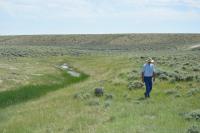 A man walking across a field of green grass next to a creek. 