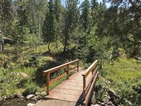 A wooden bridge crosses a creek and leads into a forested area.