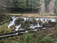 water flowing near Hult Dam in Oregon