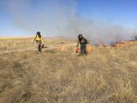 Photo. Daytime; blue skies. Flames and smoke rise from dried, grassy terrain. Two wildland firefighters use drip torches to ignite a fuels treatment project.