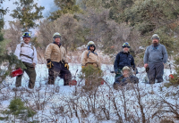 Five men in hard hats pose in a snowy forest