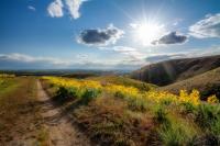 Sun shining on the Boise Foothills path