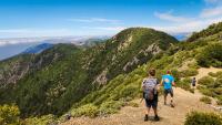 Three children hiking on a high mountain trail that overlooks an ocean.