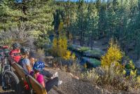 A family takes a break from a bike ride to sit at a bench and watch a creek in a forest.