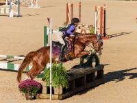 A horse and rider jumping an obstacle. 