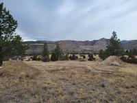 Grassy area with trees in the background.