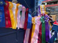 Winner ribbons on display in a colorful array at Forever Branded Bonanza at the Nebraska State Fair 