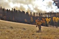 A wildland firefighter crests a hill on his way to observe a prescribed burn in the forest below.