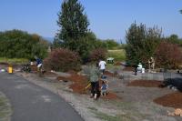 Klamath Fall NPLD 