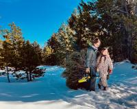 A woman holding a chainsaw and a girl drag a freshly cut pine tree through a snowy wooded landscape.