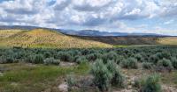 Landscape in southeast Oregon