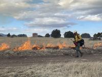 Photo of Prescribed Burn in Lincoln, NM.