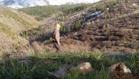 Person standing in a hilly field