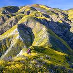 hilly colorful mountains and a blue sky