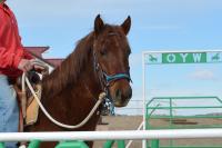 BLM-WY-WHF2025