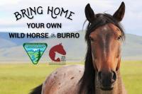 A close-up of a wild horse with mountains in the background, featuring the text about adopting a wild horse or burro.