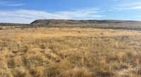 BLM-WY-CheatgrassTreatment