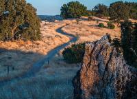 A dry trail between rocks and trees at sunset