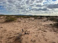Photo of southwestern New Mexico Landscape