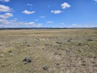 a photo of an open field with distant hills in the background under a blue sky with minimal cloud coverage