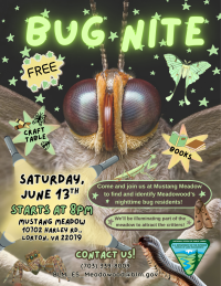 A flyer with a big bug face advertising Bug Nite