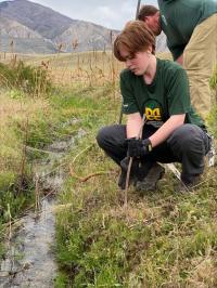 A person wearing a green shirt plants a willow stern near a small creek