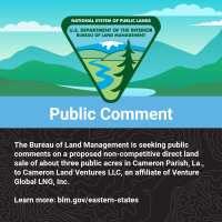 Alt text: U.S. Bureau of Land Management seeks public comments on a proposed direct land sale of three public acres in Cameron Parish, Louisiana.