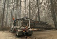 A truck hauls out burnt logs as wildfire smoke chokes up the air.