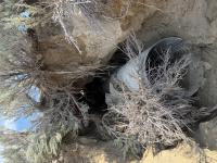 a metal culvert under a road with a bush growing near the opening is shown with dirt completely eroded away from it