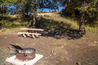 A fire pit and picnic bench in the forest. 
