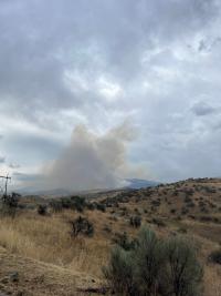Image of rangeland with wildfire smoke column in the background