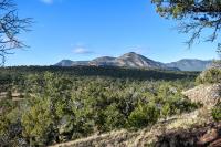 Blue skies overlook a forested valley at the Datil Well Recreation Area in New Mexico.